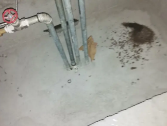 伊金霍洛卫生间测漏水价格明细