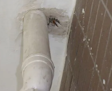 伊金霍洛漏水检测哪家好